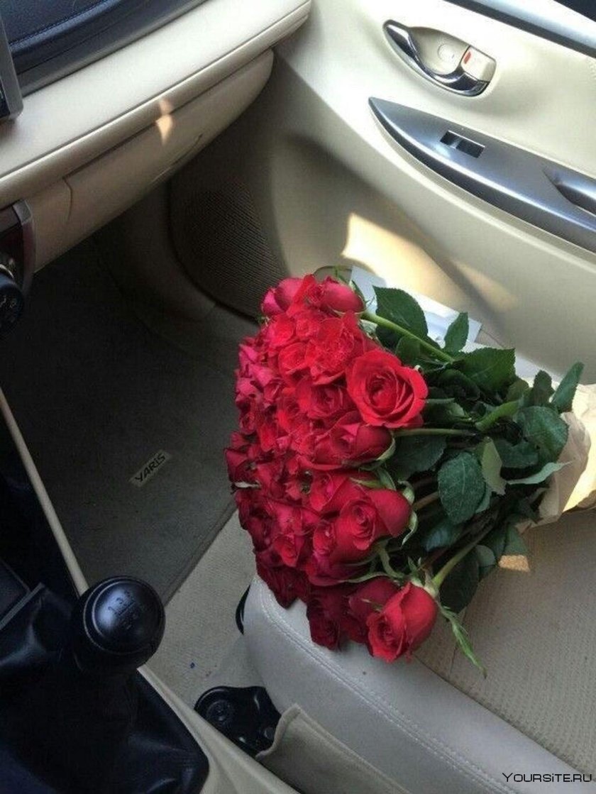 Цветы в машине