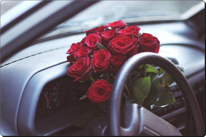 Цветы в салоне автомобиля