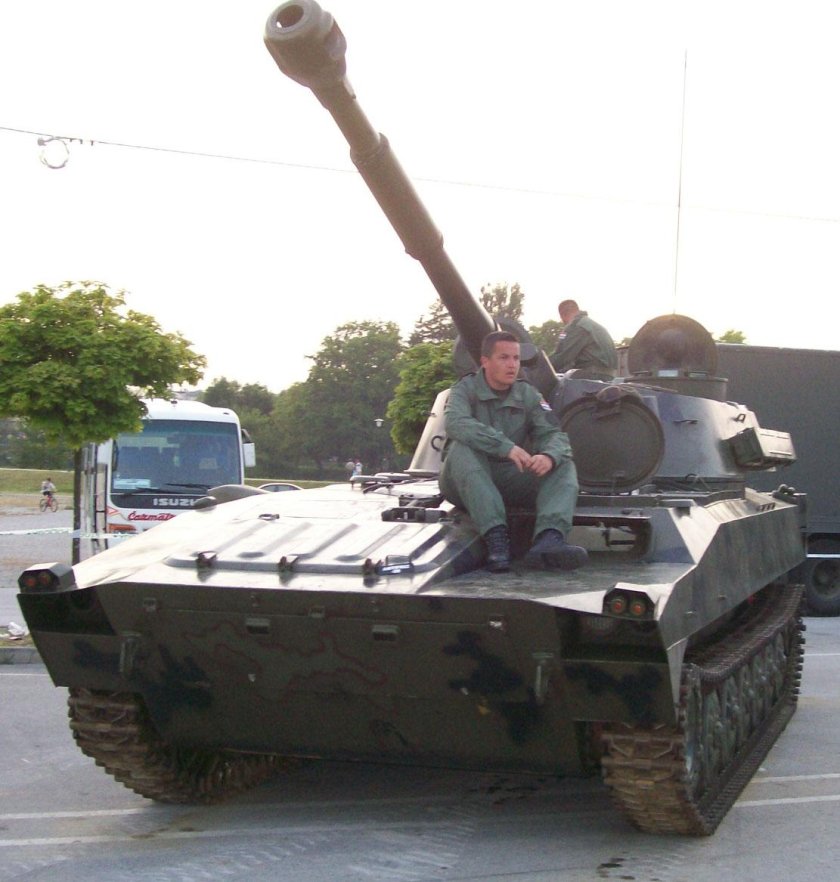 2с1 гвоздика Архангел