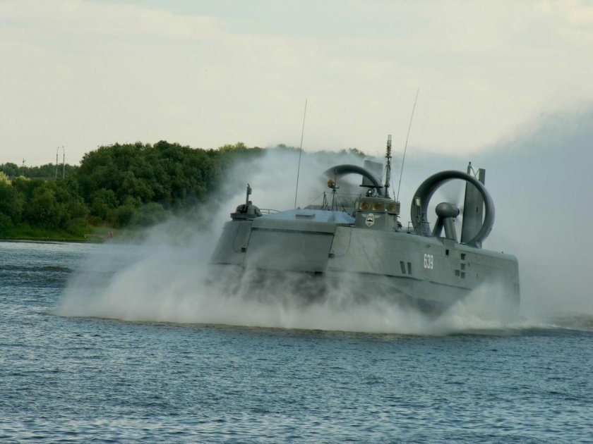 ДКВП кальмар