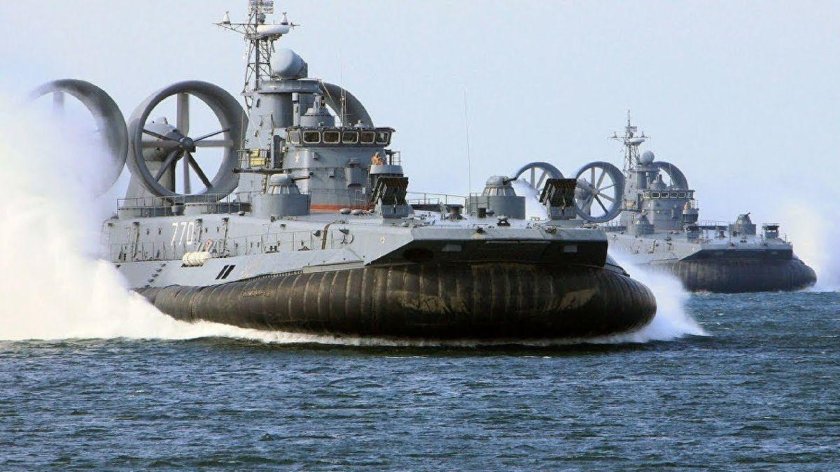 МДКВП «ЗУБР»