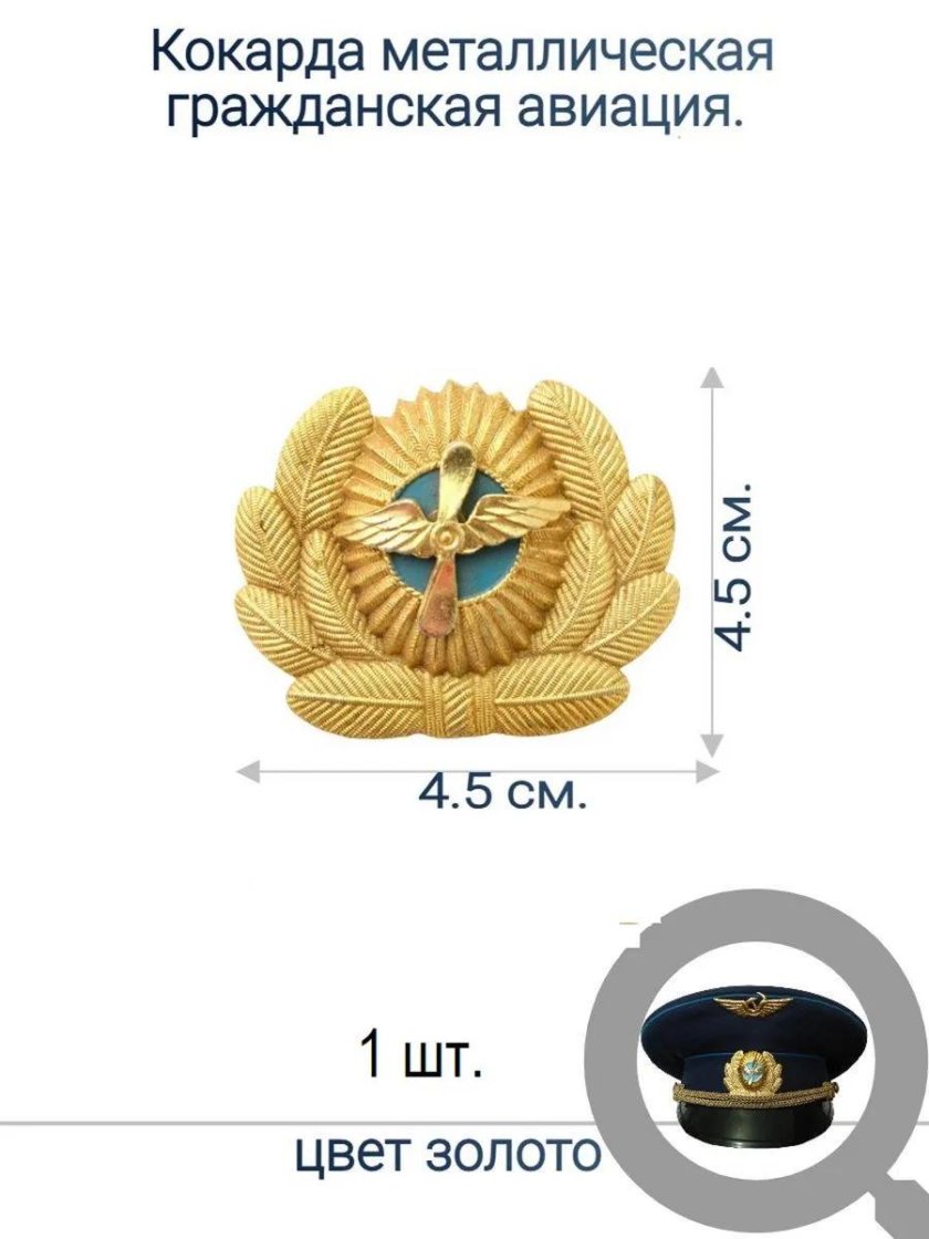 Кокарда летчика россии гражданской авиации