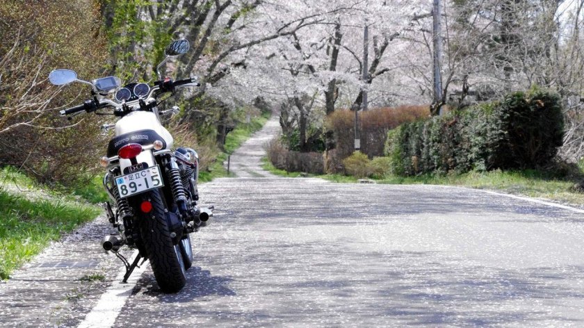 Мотоцикл охотник