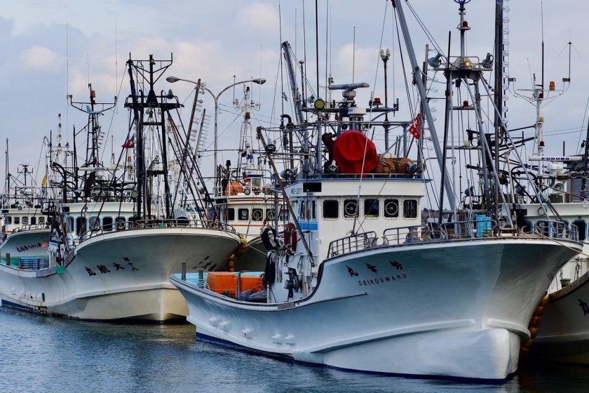 Рыболовецкое судно траулер