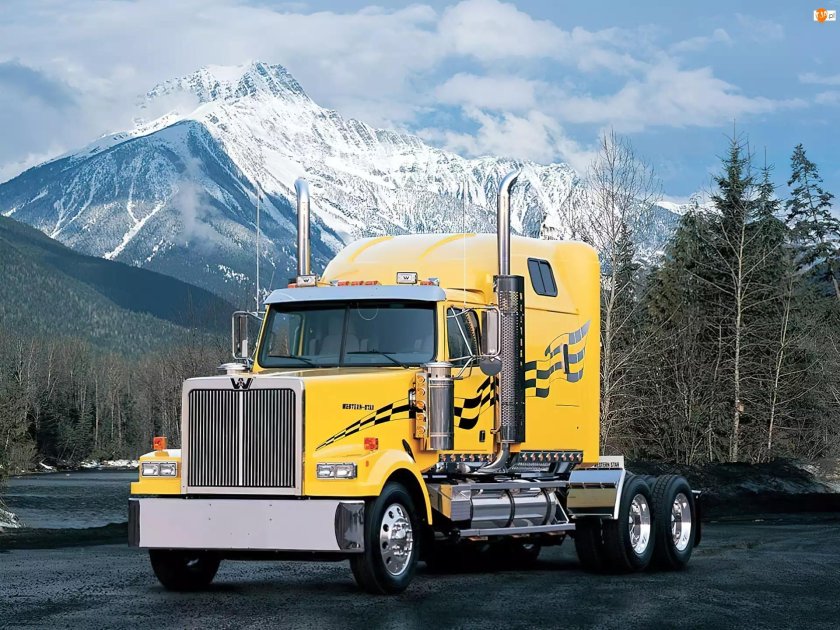 Грузовики Western Star 4900