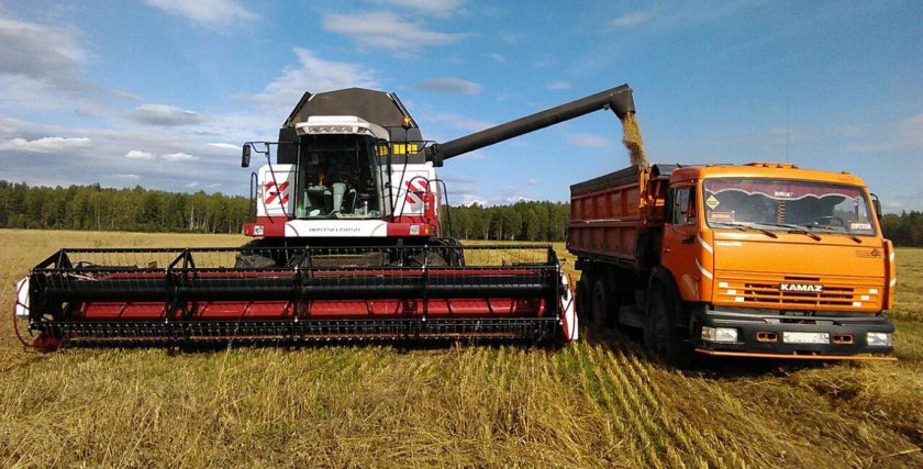 Комбайн и КАМАЗ