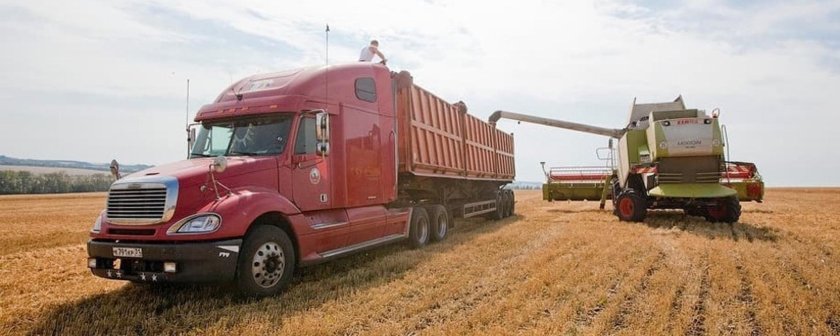 Фредлайнер с полуприцепом зерновоз