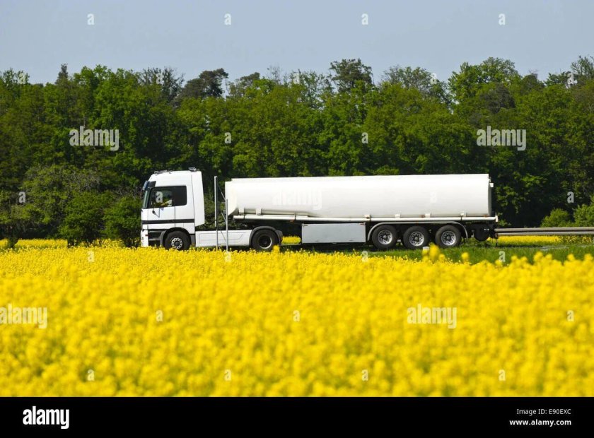 Грузовик в поле