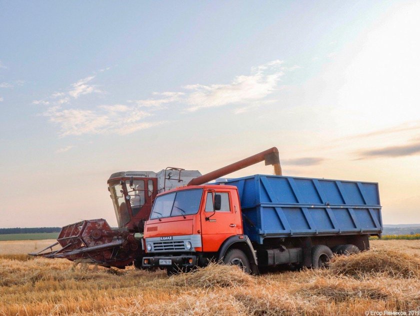 КАМАЗ 5320 на уборке силоса