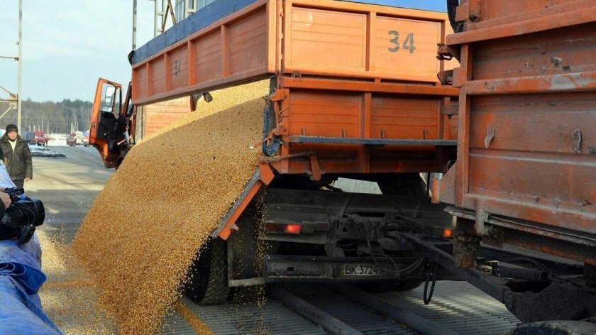 КАМАЗ зерновоз разгрузка зерна