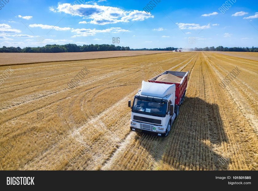 Грузовик с зерном