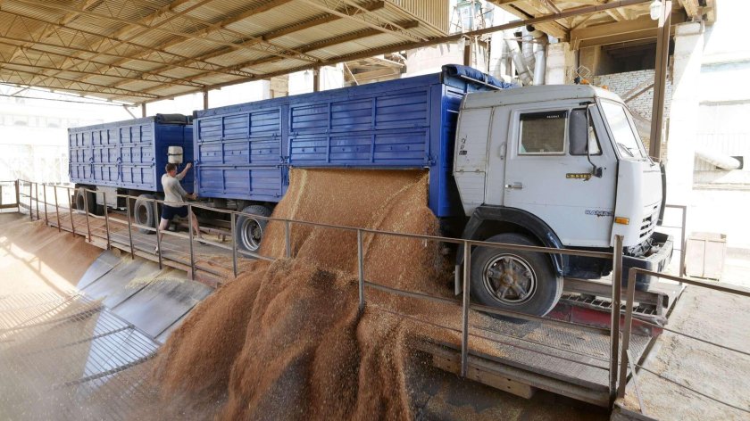 Зерновоз КАМАЗ на выгрузке