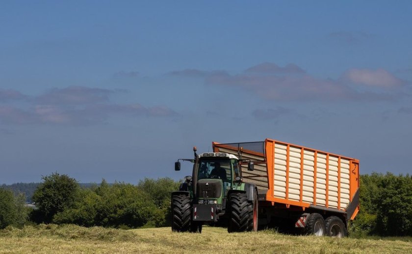 Грузовое хозяйство это