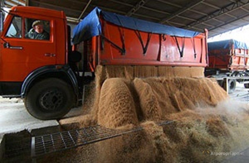 Грузовик с зерном