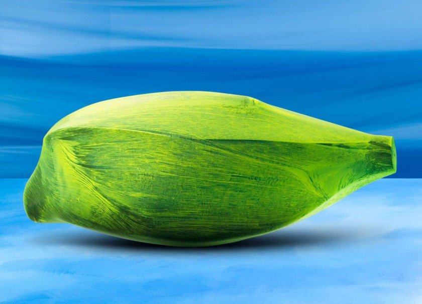 Mercedes-Benz Bionic