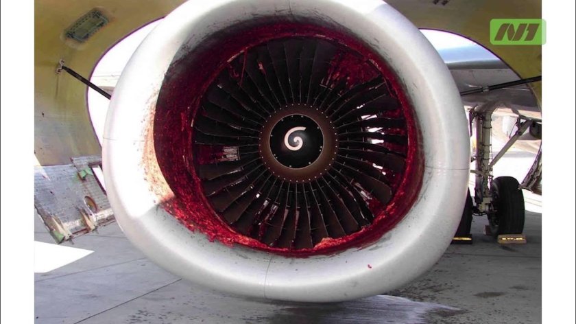 Человека засосало в турбину самолета Боинг 737