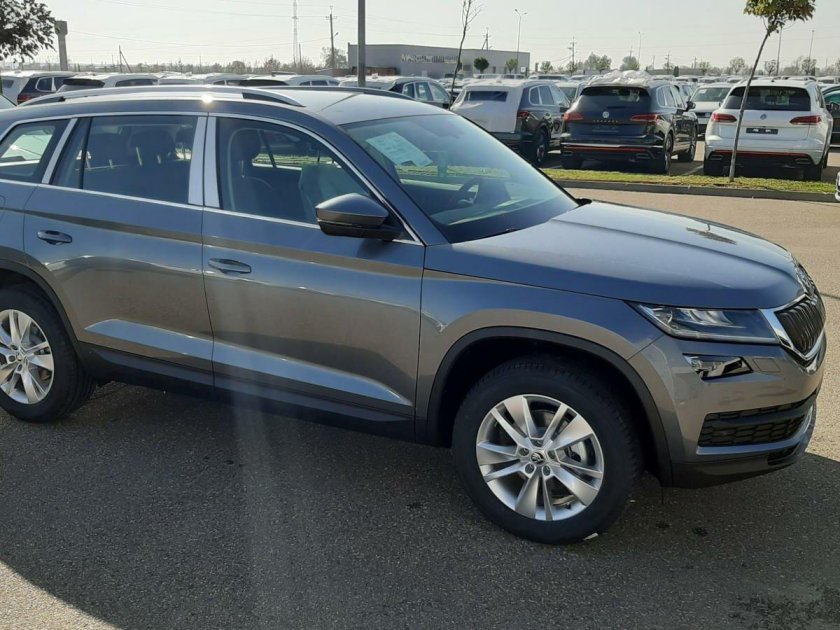 Шкода 2022 Кодиак Steel Gray