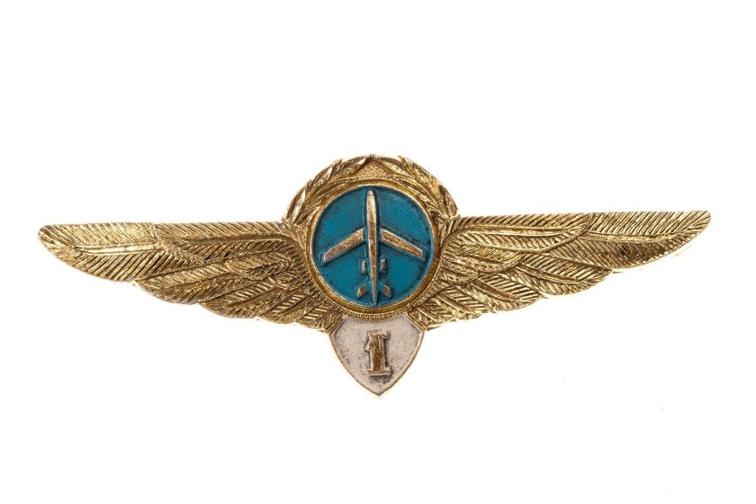 Нагрудные знаки летчиков