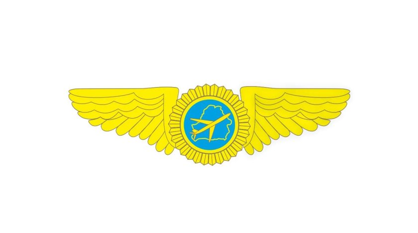 ГУ Авиационная инспекция