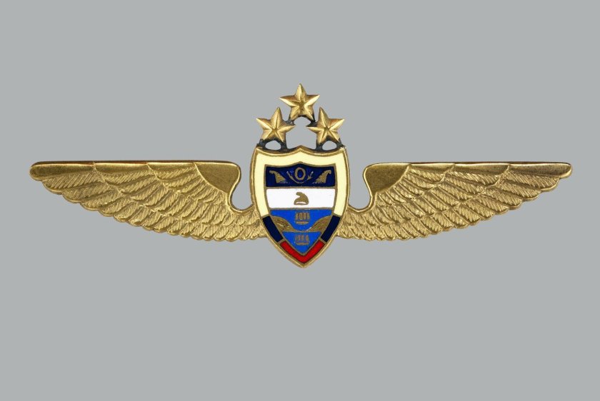 Шевроны пилота гражданской авиации