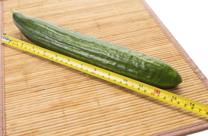 Длинный огурец с линейкой