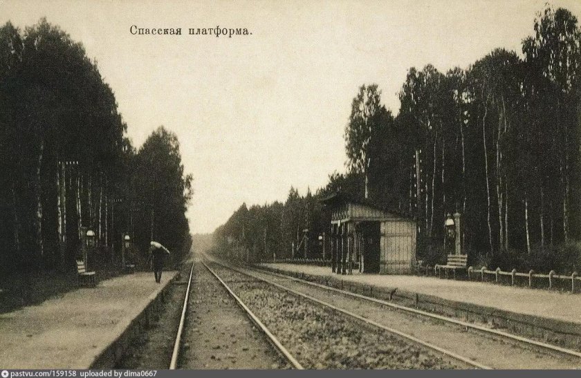 Станция Мамонтовка