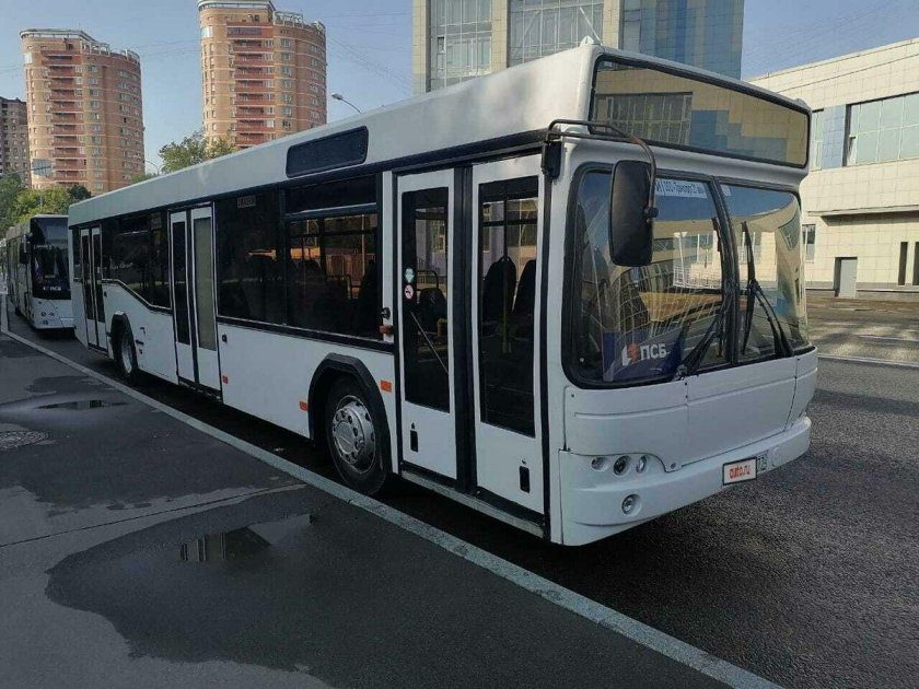 Большие автобусы