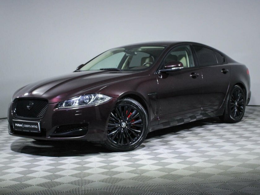 Ягуар коричневый