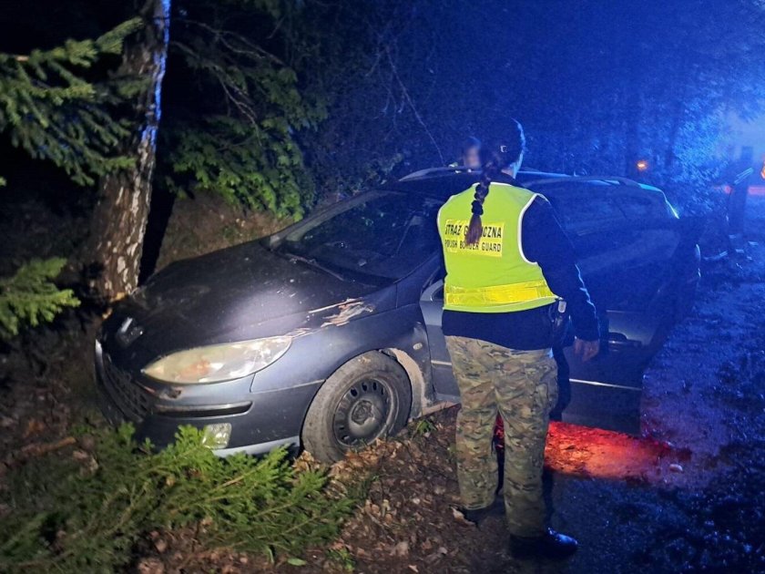 Дтп беларусь