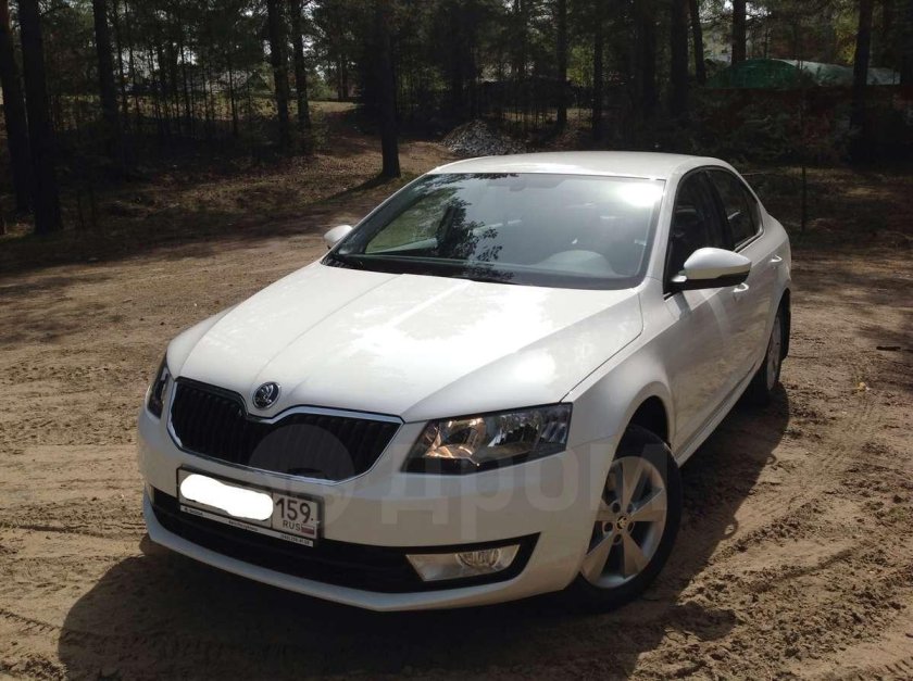 Шкода октавия 2015 белая