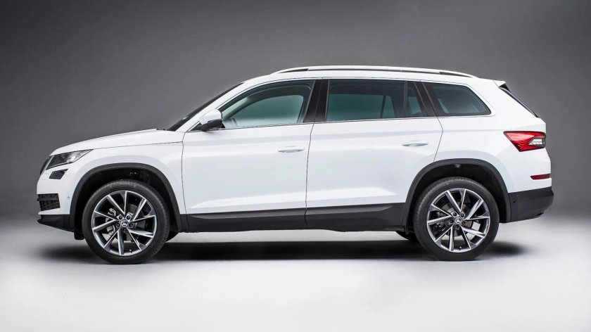 Школа Кодиак белая