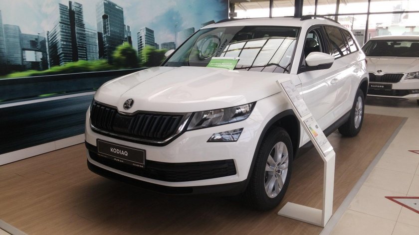 Шкода кодиак белая