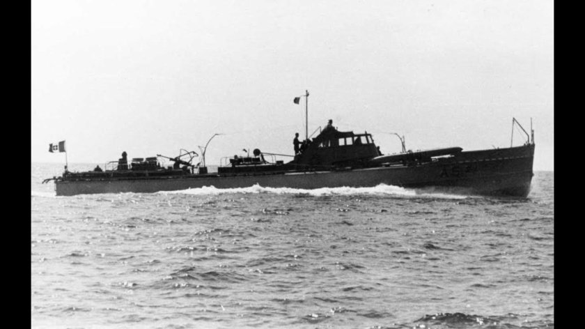 Торпедные катера типа «Ягуар»