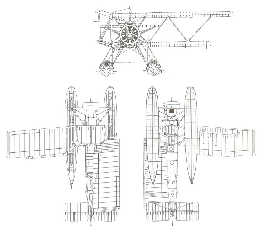 Блэкберн Шарк
