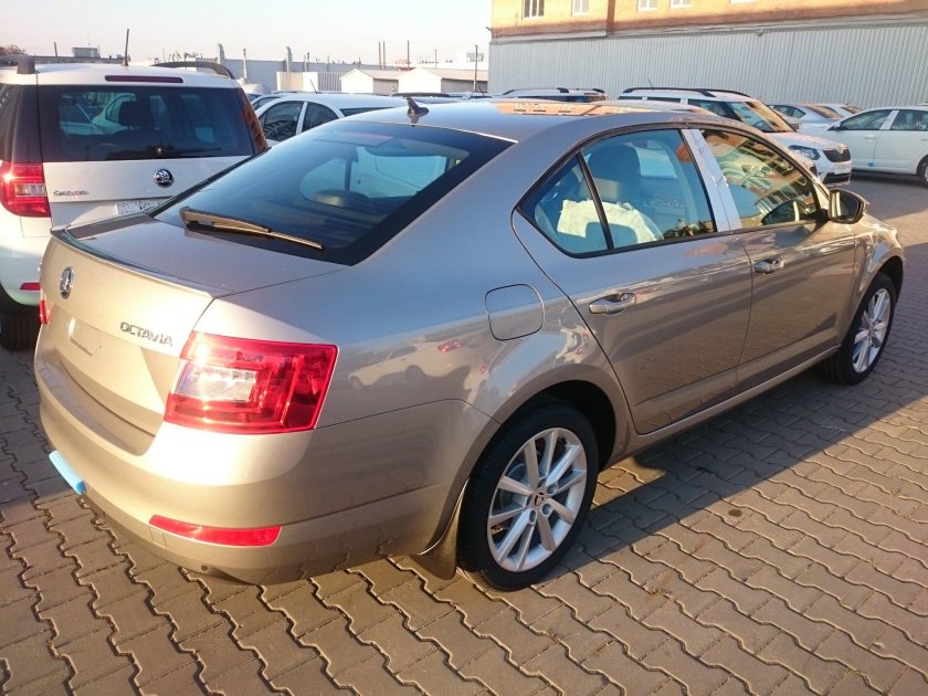 Skoda Octavia a7 бежевая