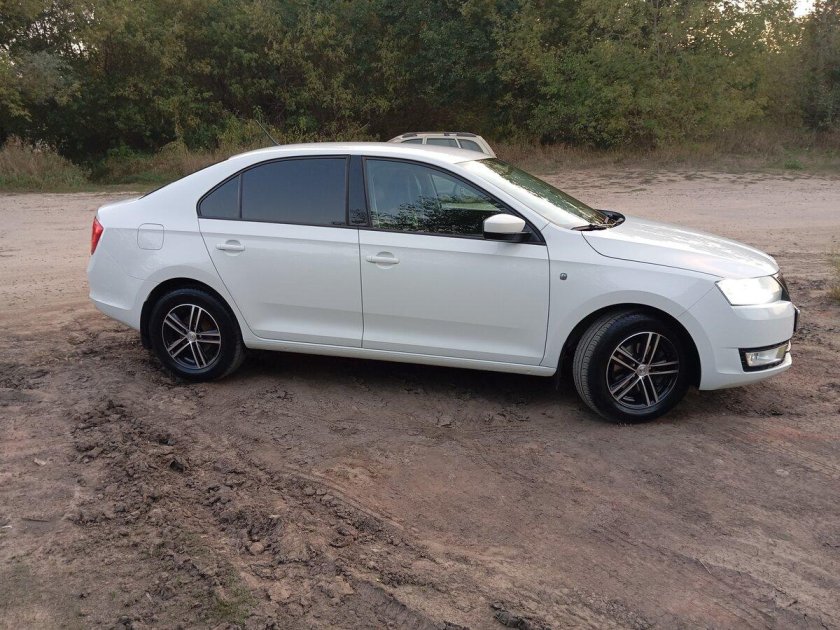 Белая шкода рапид