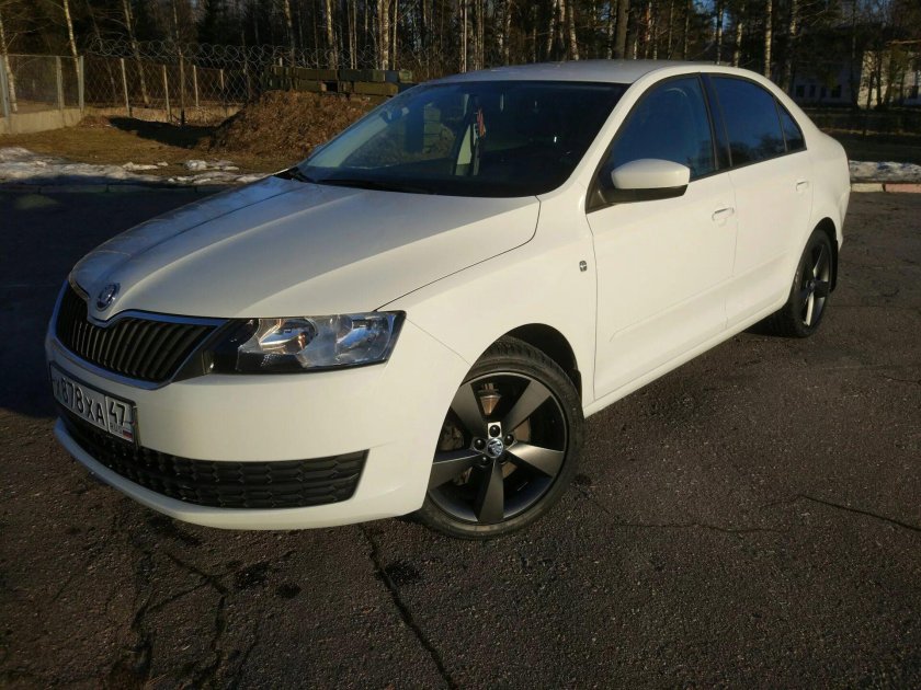 Шкода Рапид на 17 дисках