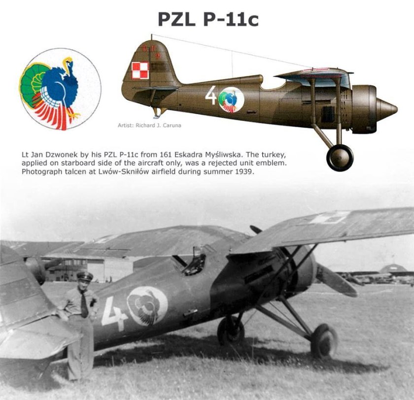 Самолёт PZL P-11c