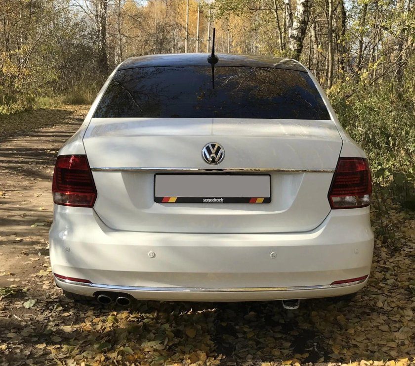 Поло вид сзади