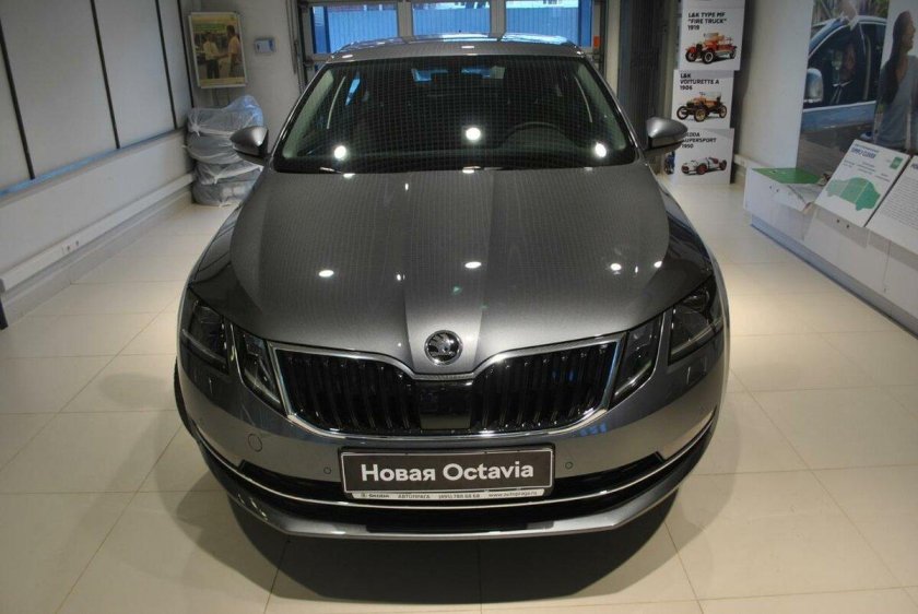 Шкода Октавия 2018 серая