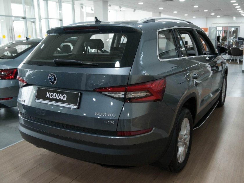 Кодиак серый новый 2022