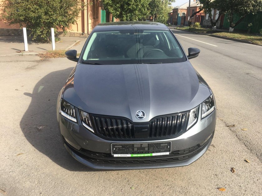 Skoda Octavia a8 Grey