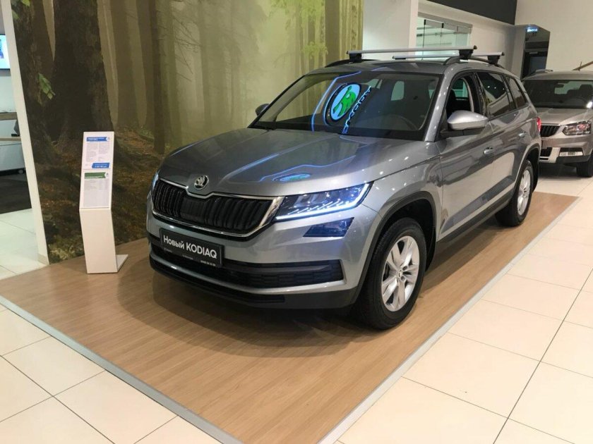 Кодиак серый платинум металлик