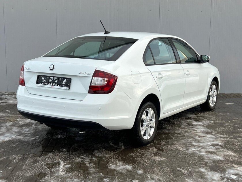 Белая шкода рапид