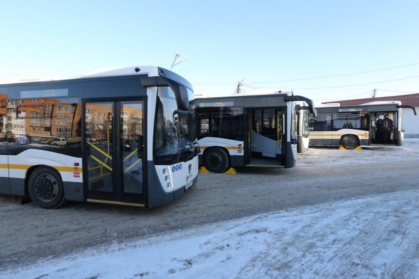 Современные автобусы