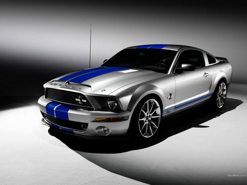 Мустанг шелби gt 500