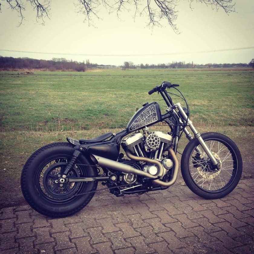 Harley davidson sportster custom