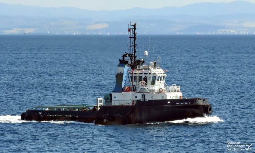 Морской толкач