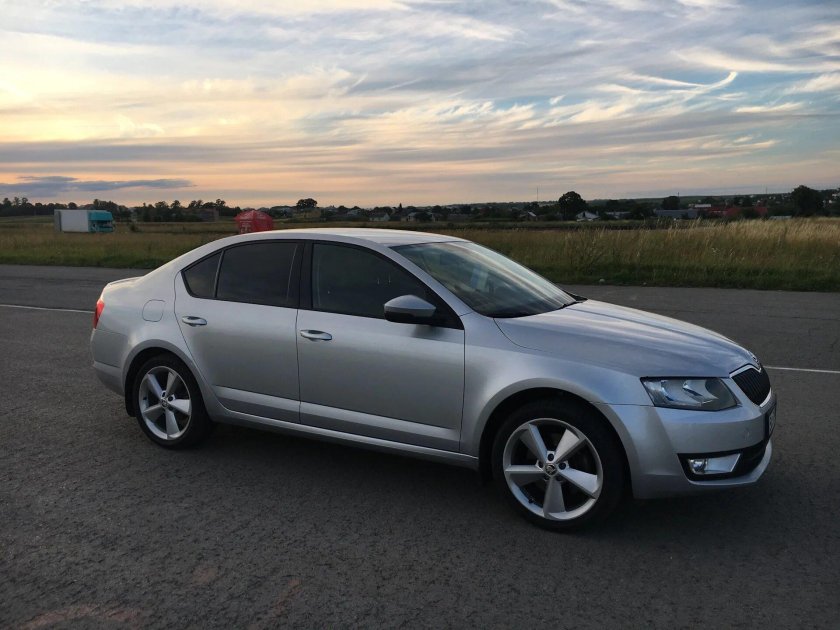 Golus r18 Октавия