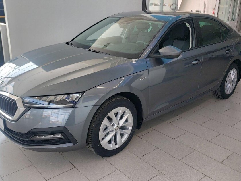 Шкода Суперб цвет серый 2010